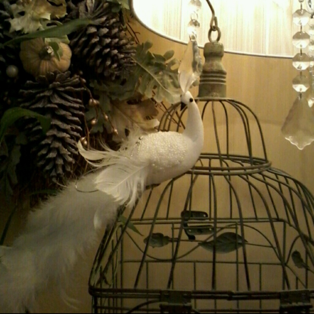Meet your Posher, White peacock